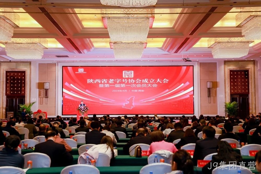 图片11