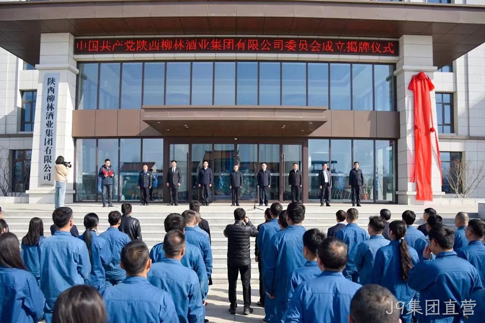 风劲帆满启新程 党建引领谱新篇 |中共J9集团直营委员会成立
