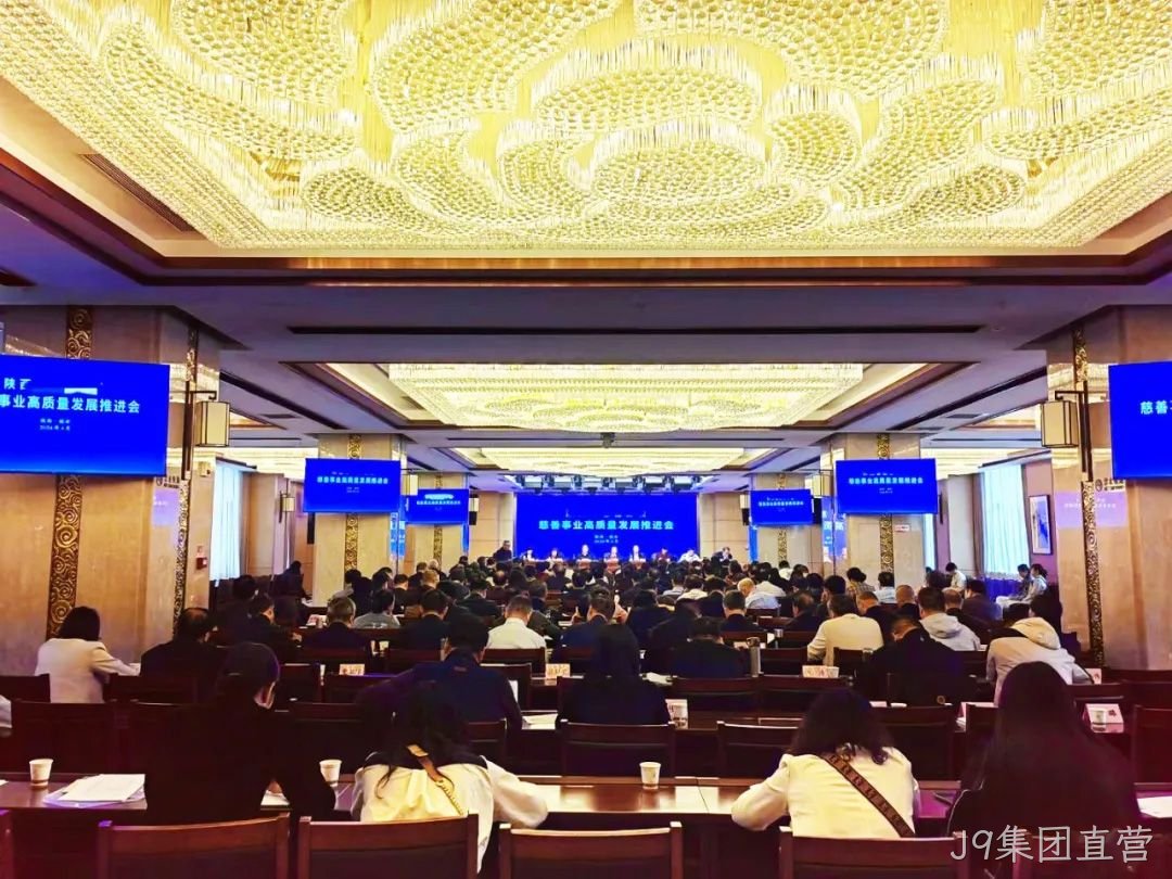图片5